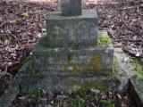image of grave number 908575